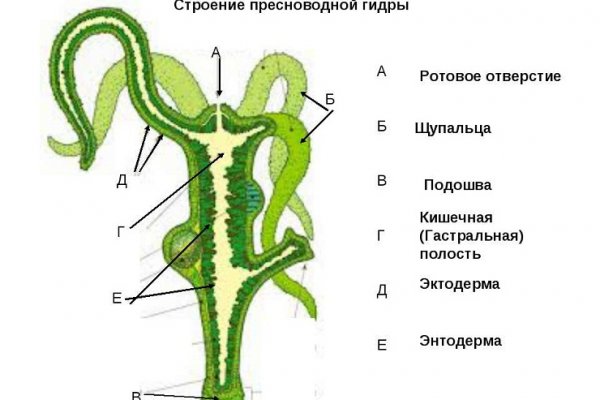 Ссылка на kraken торговая площадка