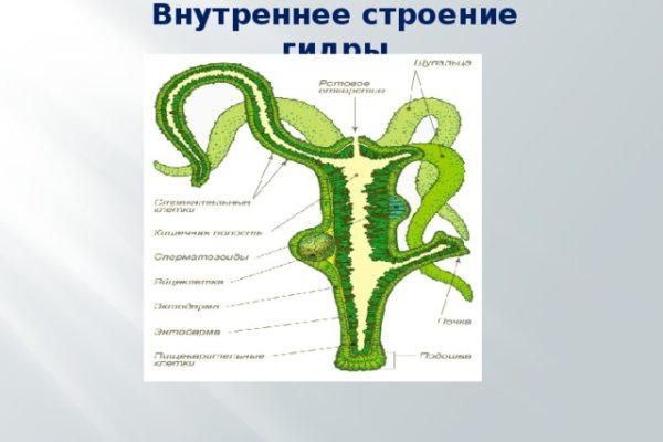 Кракен сайт ссылка тор браузере